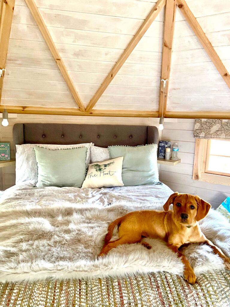 dog  on the bed in the dog friendly cabin