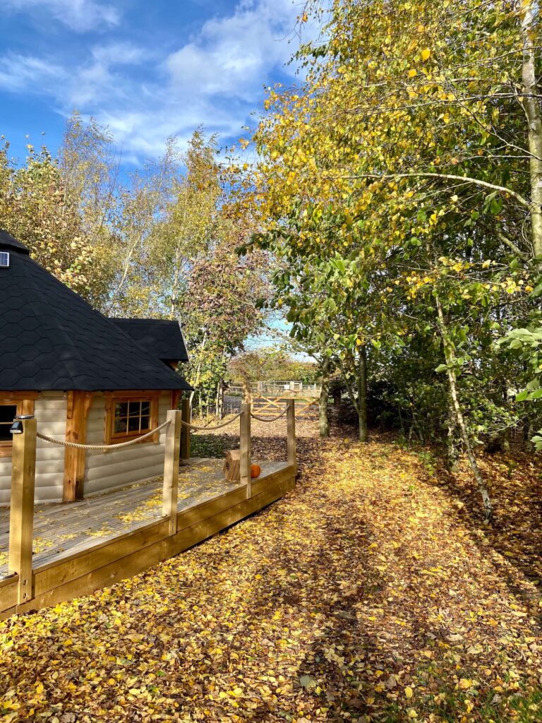 Dog friendly cabin in the woods