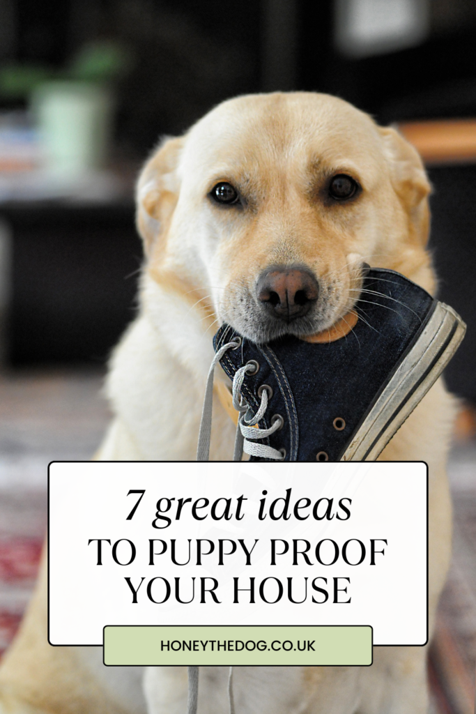 Pinterest pin how to puppy proof your house