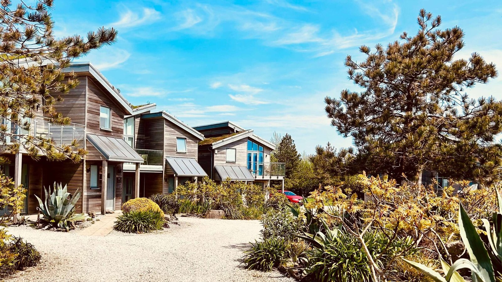 Dog Friendly Lodge Holidays: Everything You Need to Know Before You Book