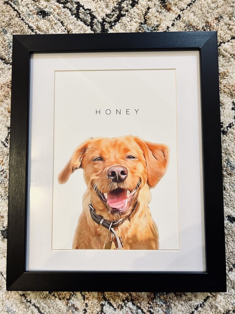 Pet portrait gift